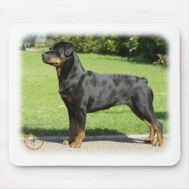 Rottweiler Musmatta (Framsidan)