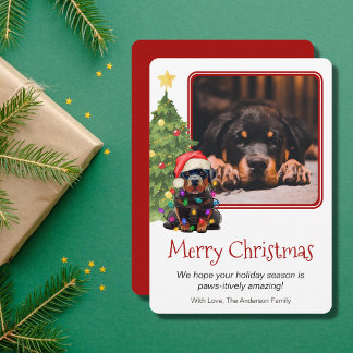 Rottweiler och Julgran Pet Hund One Photo Julkort