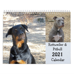 Rottweiler och Pitbull Calendar Kalender