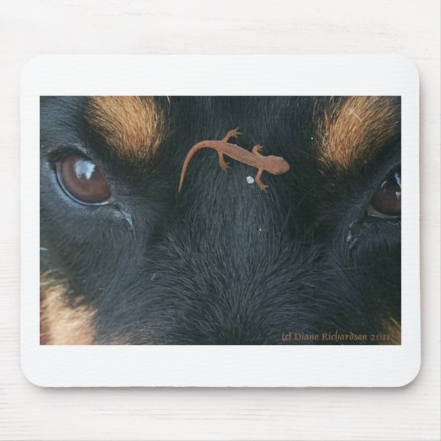 Rottweiler och salamandermusen vadderar musmatta (Framsidan)