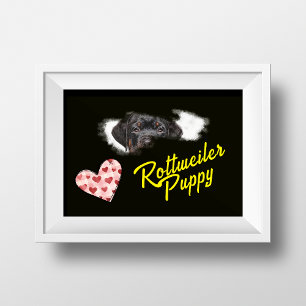 Rottweiler Öga Solid Färg Poster