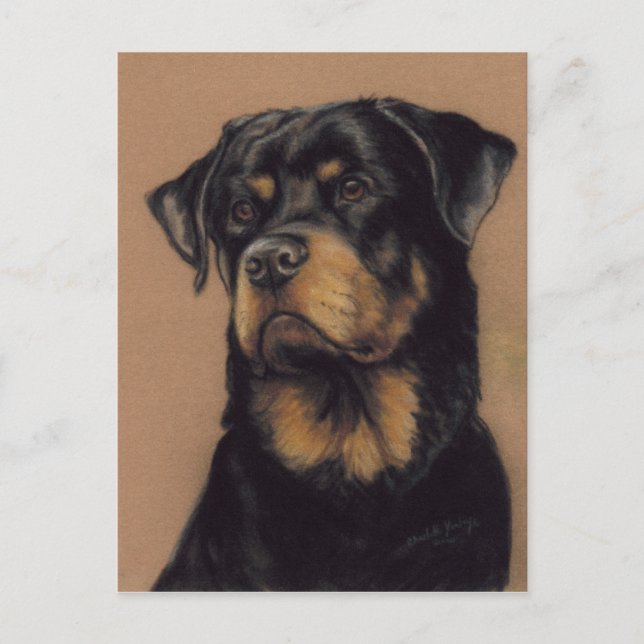 Rottweiler Original Art Postcard Vykort (Framsida)