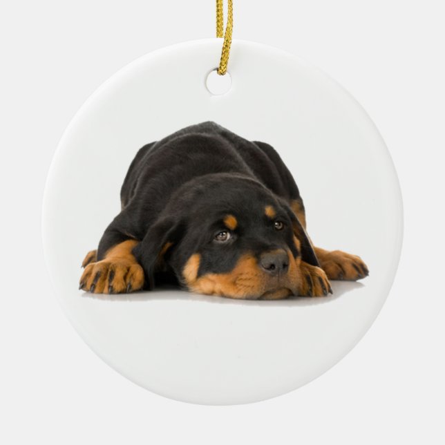 Rottweiler Ornament (Framsidan)
