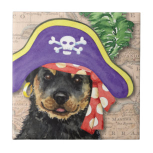 Rottweiler pirat kakelplatta