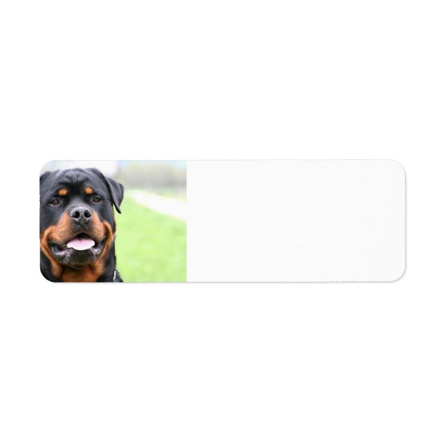 Rottweiler.png Returadress Etikett (Framsidan)