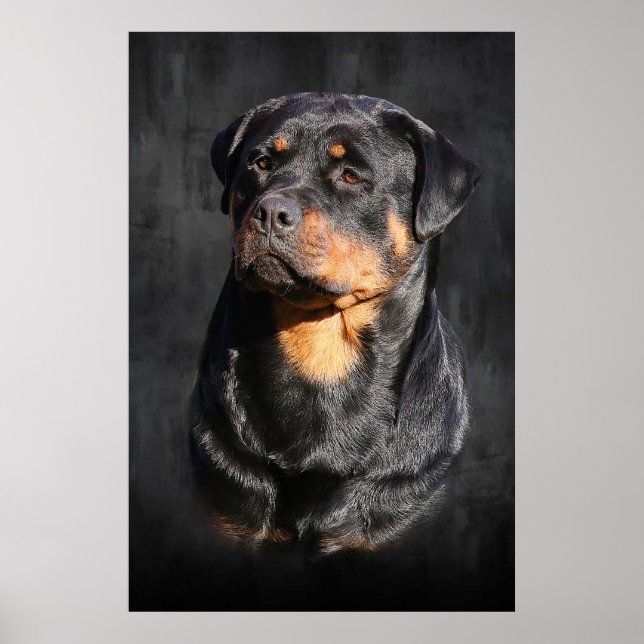 Rottweiler Poster (Framsidan)
