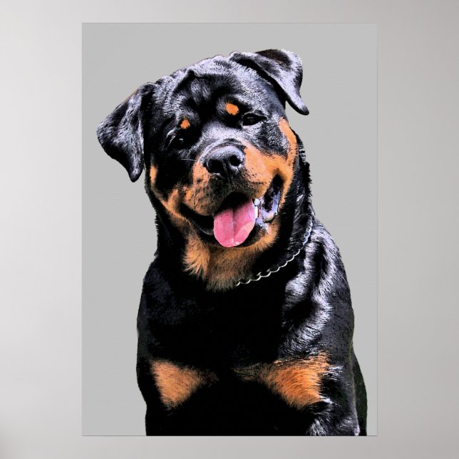 Rottweiler Poster (Framsidan)