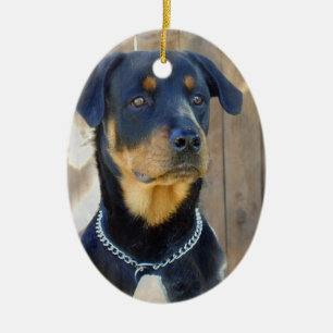 Rottweiler prydnad julgransprydnad keramik