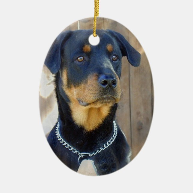 Rottweiler prydnad julgransprydnad keramik (Framsidan)