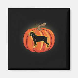rottweiler pumkin halloween costume hund älskare magnet