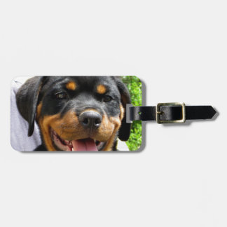 Rottweiler puppy ansikte Hund Cute Bagagebricka