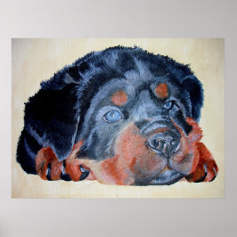 Rottweiler Puppy Artistic Pet Porträtt Poster
