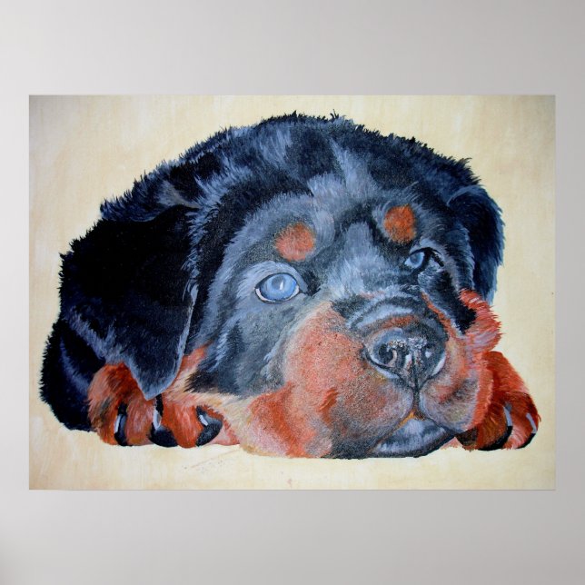 Rottweiler Puppy Artistic Pet Porträtt Poster (Framsidan)