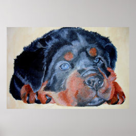 Rottweiler Puppy Artistic Pet Porträtt Poster