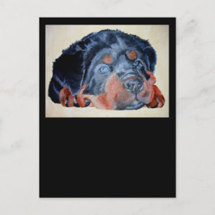 Rottweiler Puppy Artistic Pet Porträtt Vykort