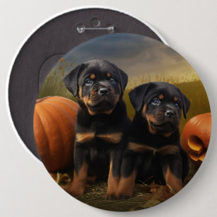 Rottweiler Puppy Autumn Delight Pumpkin Knapp