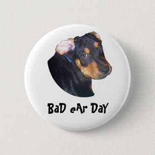 Rottweiler Puppy, BaD eAr DaY Knapp
