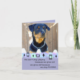 Rottweiler Puppy Birthday Greetings Kort