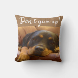 Rottweiler Puppy Don't Ge Up Kudde