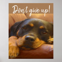 Rottweiler Puppy Don't Ge Up