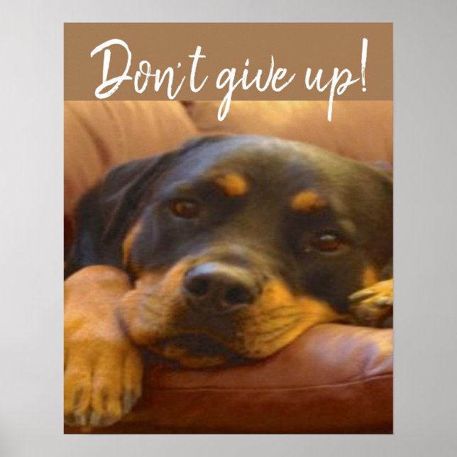 Rottweiler Puppy Don't Ge Up Poster (Framsidan)