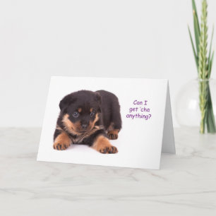 Rottweiler Puppy Get well Card Kort