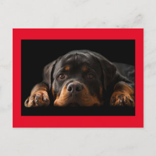 Rottweiler Puppy Hund Hälsning vykort - tomt