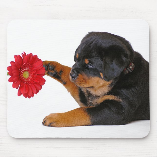Rottweiler Puppy Hund med Gerbera Daisy Mousepad Musmatta (Framsidan)