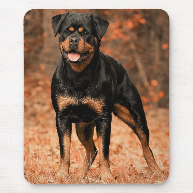 Rottweiler Puppy Hund Musmatta (Framsidan)