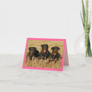 Rottweiler Puppy Hund Rosa Blank Note-kort Kort
