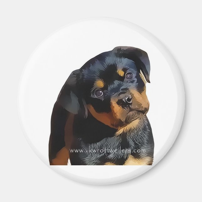 Rottweiler puppy magnet (Framsidan)