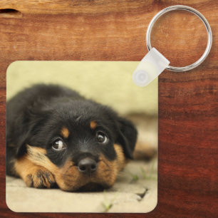 Rottweiler Puppy Nyckelring