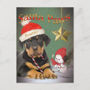 Rottweiler Puppy Santa Tassar kort