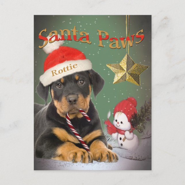 Rottweiler Puppy Santa Tassar kort (Framsida)