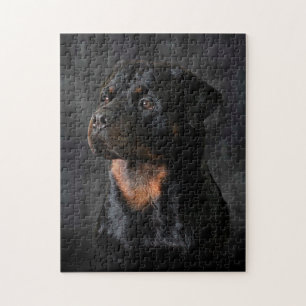 Rottweiler pussel