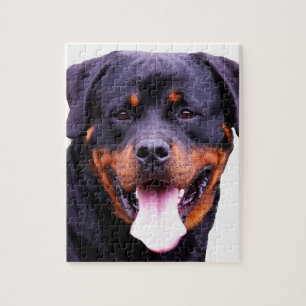 rottweiler pussel
