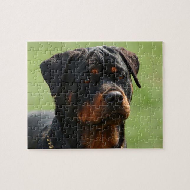 Rottweiler Pussel (Horisontell)
