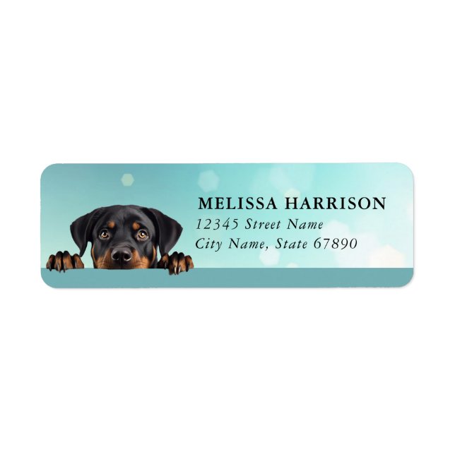 Rottweiler Return Address Labels Returadress Etikett (Framsidan)