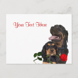 Rottweiler Röd ros Valentine Design Helg Vykort