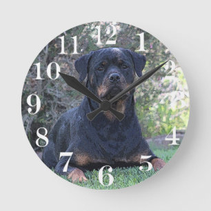 Rottweiler Rund Klocka