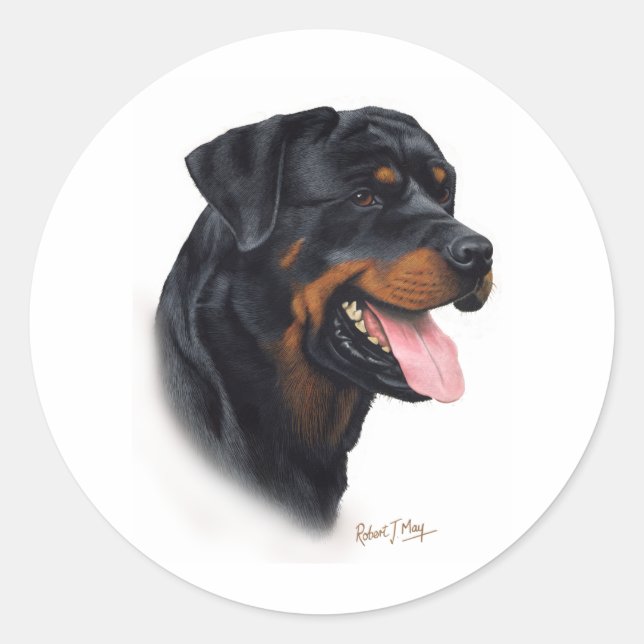 Rottweiler Runt Klistermärke (Framsida)