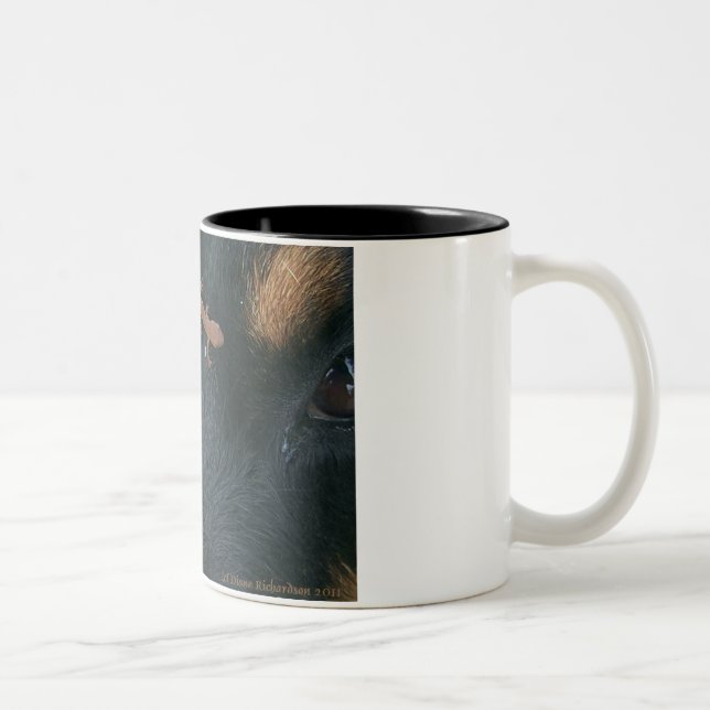 Rottweiler & Salamandermugg Två-Tonad Mugg (Höger)