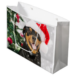 Rottweiler Santa