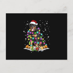Rottweiler Santa Julgran Ljus Julafton Helg Vykort