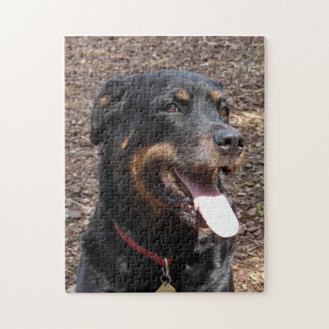 Rottweiler Smiling Hund Puzzle Pussel (Vertikal)