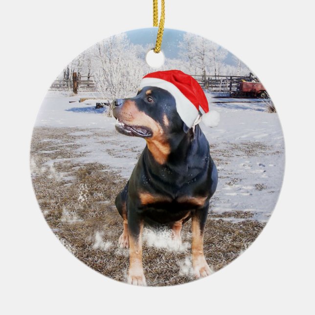 Rottweiler Snö jul Helgdag Ornament (Framsidan)