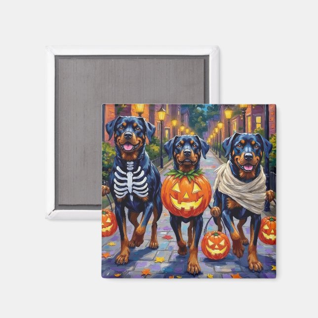 Rottweiler som söker godis på Halloween i Hallowee Magnet (Front/Back)