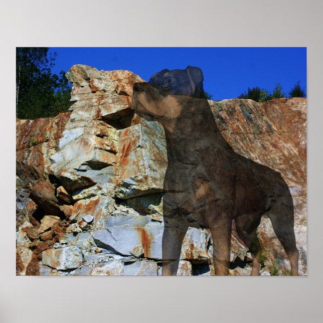 Rottweiler Stone Cliff Wall Fantasy Art Poster (Framsidan)