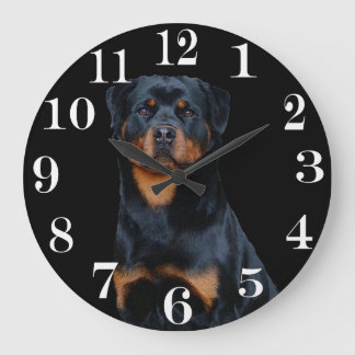Rottweiler Stor Klocka