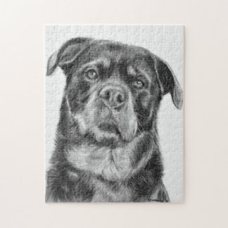 Rottweiler teckning pussel
